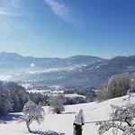 Blickfang Bregenzerwald Апартаменты Langenegg