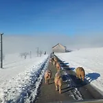 Blickfang Bregenzerwald *