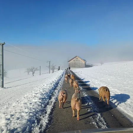 Blickfang Bregenzerwald *